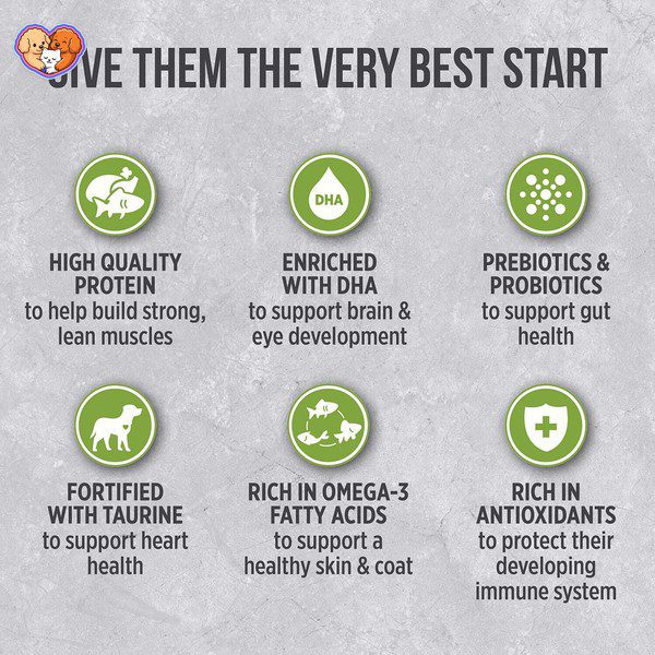 غذای خشک سگ نوترینس Infusion Healthy Puppy - تصویر 6