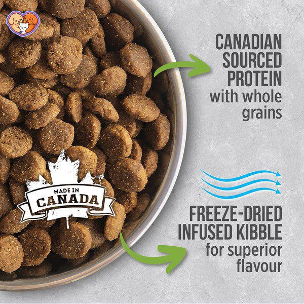 غذای خشک سگ نوترینس Infusion Healthy Puppy - تصویر 3