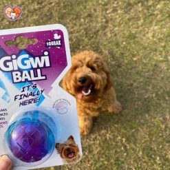 Alternative view of توپ بازی سگ GiGwi BALL – توپ مقاوم، سرگرم‌کننده و وارداتی برای بازی و تمرین