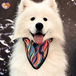 دستمال گردن سگ و گربه