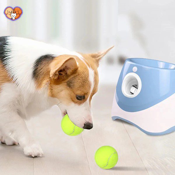 دستگاه اتوماتیک توپانداز سگ – بازی هوشمند و خودکار - تصویر 3