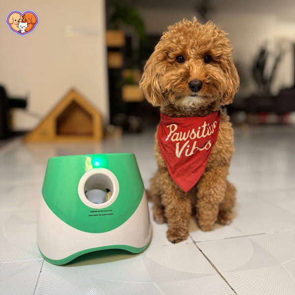 دستگاه اتوماتیک توپانداز سگ – بازی هوشمند و خودکار