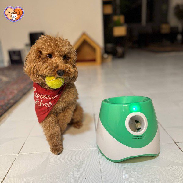 دستگاه اتوماتیک توپانداز سگ – بازی هوشمند و خودکار - تصویر 2
