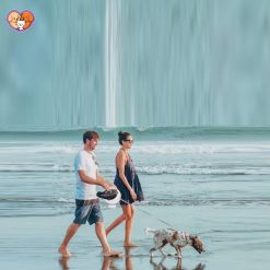 Alternative view of لیش متری هوشمند – قلاده‌ای مدرن برای پیاده‌روی