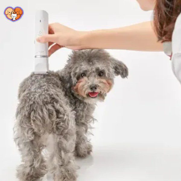 ماشین اصلاح موی سگ و گربه PetKit مدل Two in One - تصویر 3