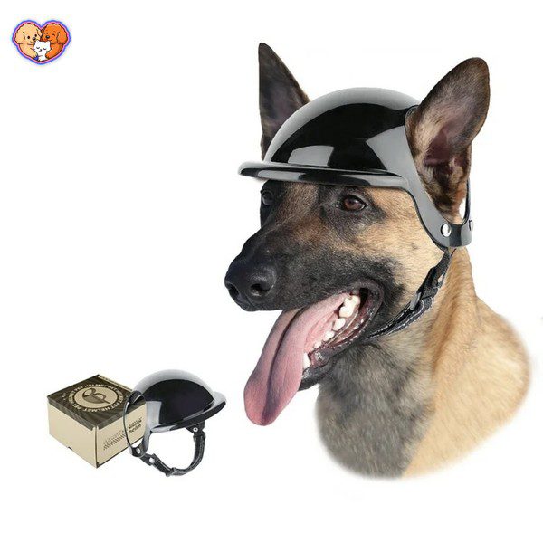 کلاه کاسکت سگ و گربه به همراه عینک مخصوص - تصویر 6