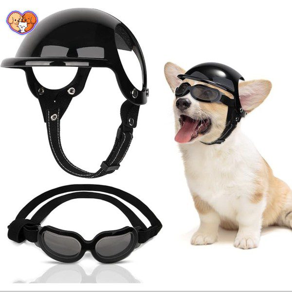 کلاه کاسکت سگ و گربه به همراه عینک مخصوص - تصویر 5