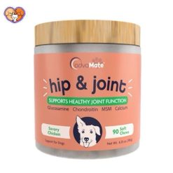 قرص مفصل و استخوان