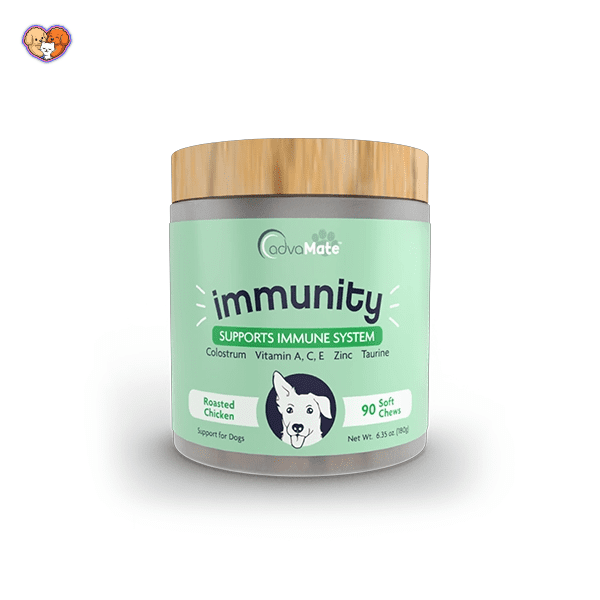 مکمل برای سگ و گربه ها