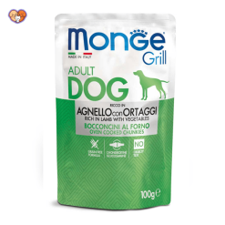 پوچ مونژه سگ بالغ