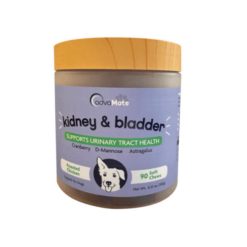 مکمل تقویت کلیه و سگ