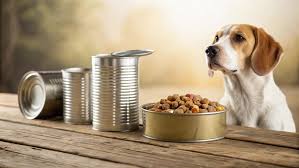 غذای کنسروی برای سگ و گربه